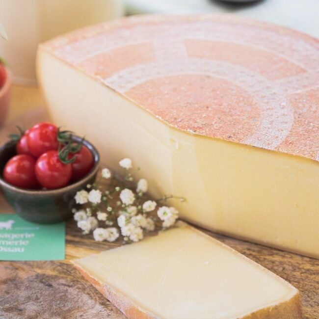 p-te-press-e-cuite-fromagerie-cr-merie-d-ossau